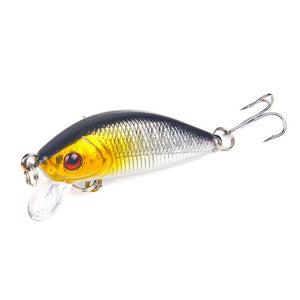 Artificial Minnow Fishing Lure