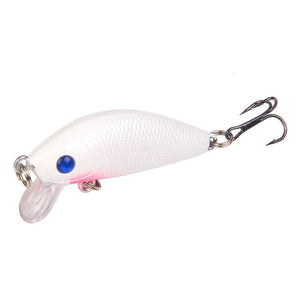 Artificial Minnow Fishing Lure