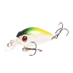 Crankbait Fishing Lure